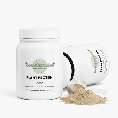 Plant Protein (Vanilla)