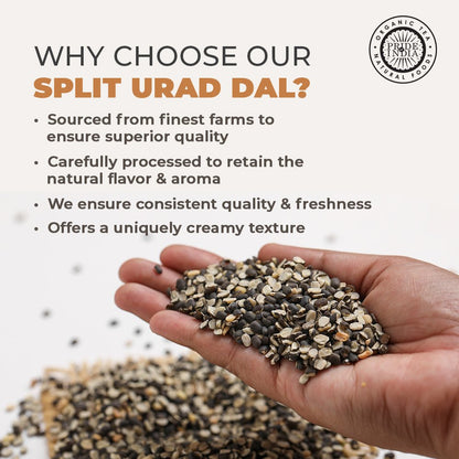Indian Split Black Gram Matpe Beans - Protein & Fiber Rich Urad Dal Jar - ConsciousValues