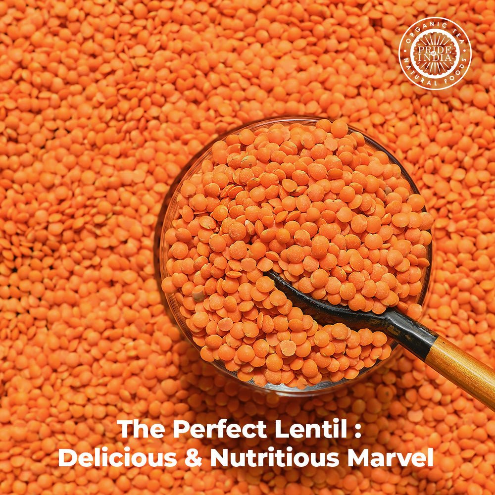 Indian Split Masur Red Lentils - Protein & Fiber Rich Masoor Dal Jar - ConsciousValues