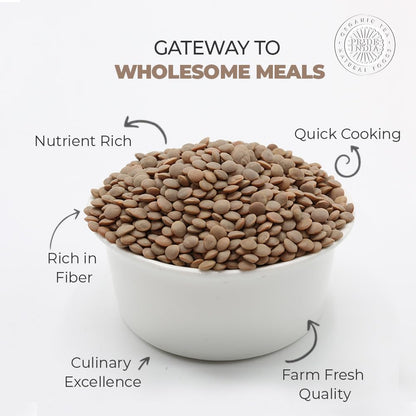 Indian Whole Brown Crimson Lentils - Protein & Fiber Rich Masoor Whole Jar - ConsciousValues