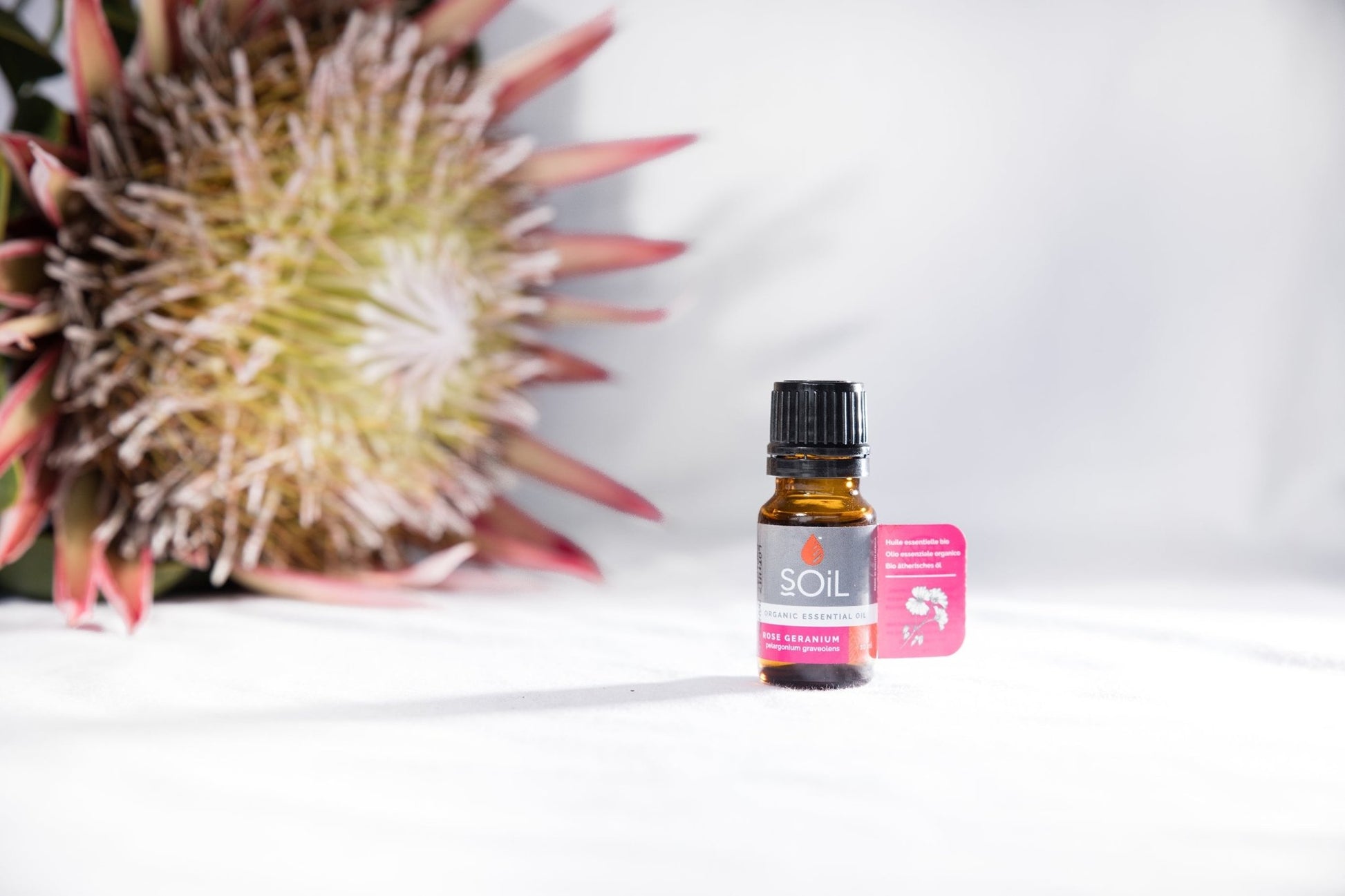 Organic Rose Geranium Essential Oil (Pelargoneum Graveolens) 10ml - ConsciousValues