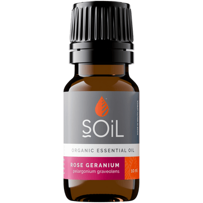 Organic Rose Geranium Essential Oil (Pelargoneum Graveolens) 10ml - ConsciousValues