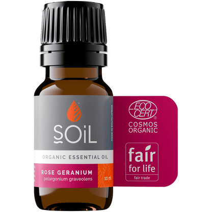Organic Rose Geranium Essential Oil (Pelargoneum Graveolens) 10ml - ConsciousValues